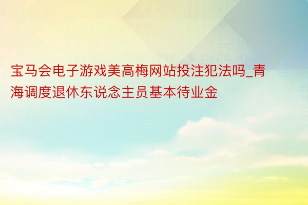 宝马会电子游戏美高梅网站投注犯法吗_青海调度退休东说念主员基本待业金